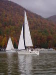Highlight for Album: 2004 Fall Fun Race