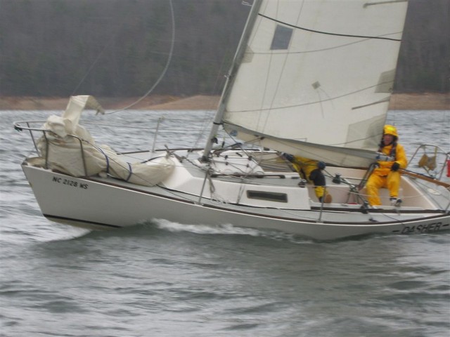a19