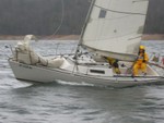 a19