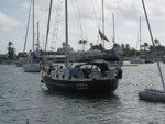 Sneaking up on Murdochs in Hopetown Harbour