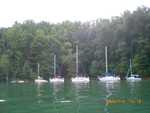 boats on mooring line near picnic site
