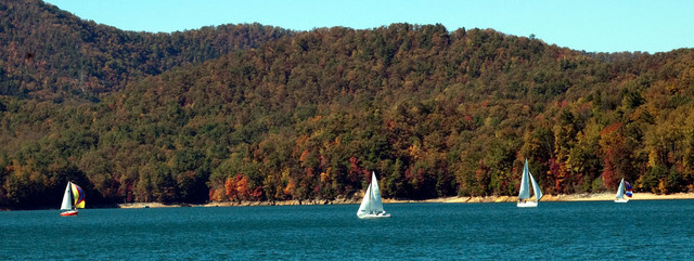 Fall Race 4, picture submitted by Marc Albert