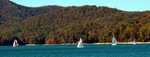 Fall Race 4, picture submitted by Marc Albert