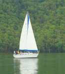 Pictures from committee boat taken by Cork Wherrett