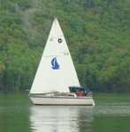 Pictures from committee boat taken by Cork Wherrett