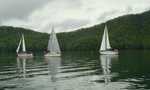 Pictures from committee boat taken by Cork Wherrett