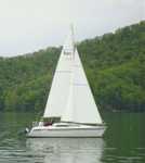 Pictures from committee boat taken by Cork Wherrett