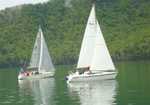 Pictures from committee boat taken by Cork Wherrett