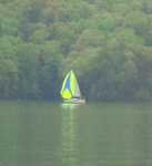 Pictures from committee boat taken by Cork Wherrett