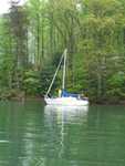 commitee boat