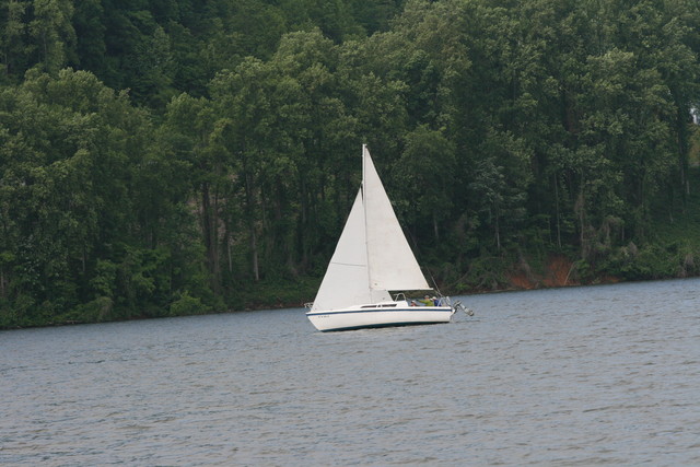 IMG_0011.JPG