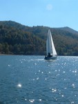 DSCF0029