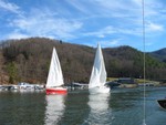 motor sailing during start

pic by C. Lucas