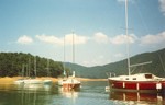 Why don't they all point the same way?  The houseboaters loved going through the lineup to get out.. (1980)