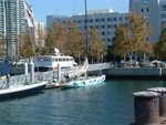 Americas Cup boat "Abacadabra" in San Diego Harbor, J Little, nice way to spend the day