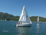 Fall Race #4 (pictures from Brysons on Committee Boat