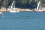 Fall Race #4 (pictures from Brysons on Committee Boat