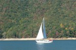 Fall Race #4 (pictures from Brysons on Committee Boat