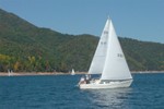 Fall Race #4 (pictures from Brysons on Committee Boat