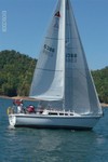 Fall Race #4 (pictures from Brysons on Committee Boat