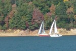 Fall Race #4 (pictures from Brysons on Committee Boat