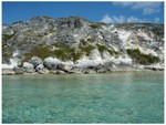 The limestone cliffs on the south end of Ship Channel Cay are 50 feet high and filled with caves.