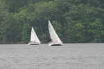 IMG_8869.JPG