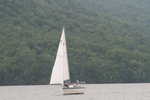 IMG_8887.JPG