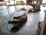 Breakfast at the Commodore's House, Sunday Feb 22