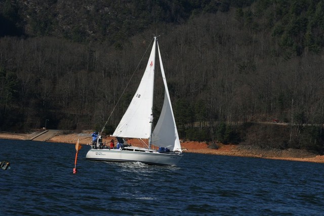 Pictures during race by Sue Lockett