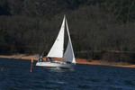 Pictures during race by Sue Lockett