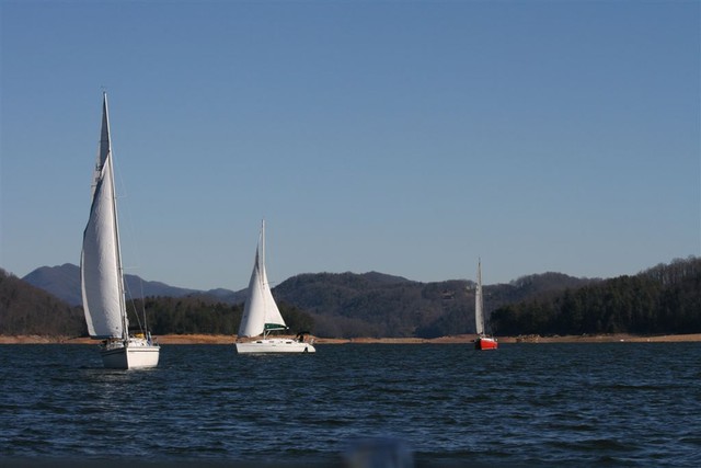Pictures during race by Sue Lockett