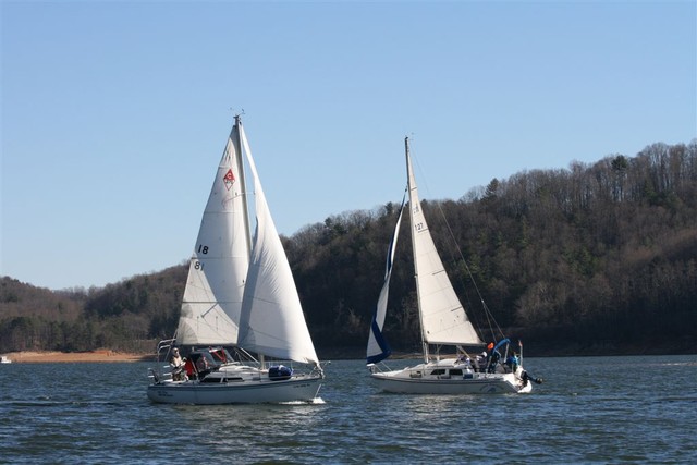 Pictures during race by Sue Lockett