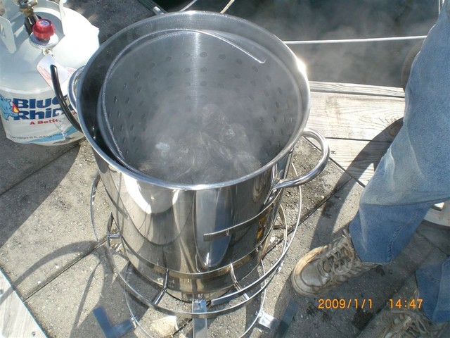 oysters cooking