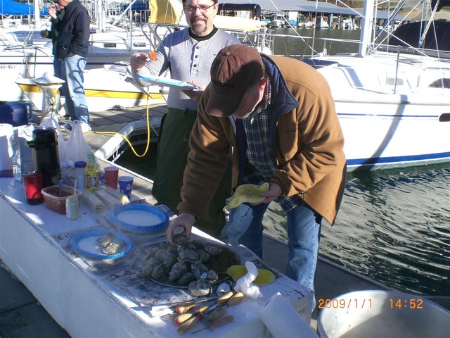 oysters on serving line