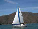 Practice Starts, Outside Lakeshore Marina Harbor, afternoon, April 4th