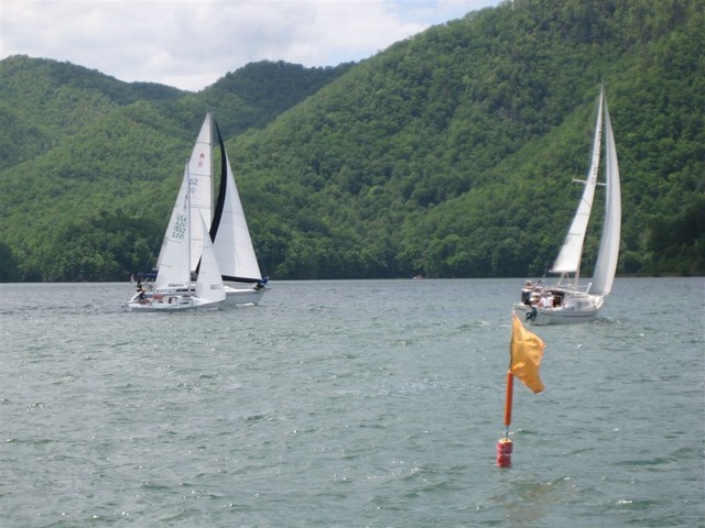 IMG 3116