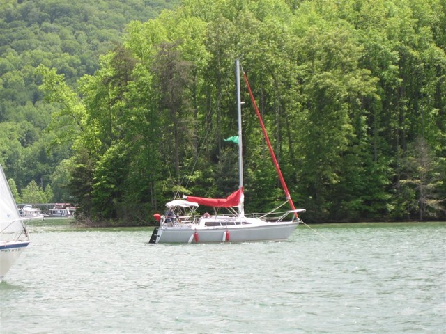 IMG 3117