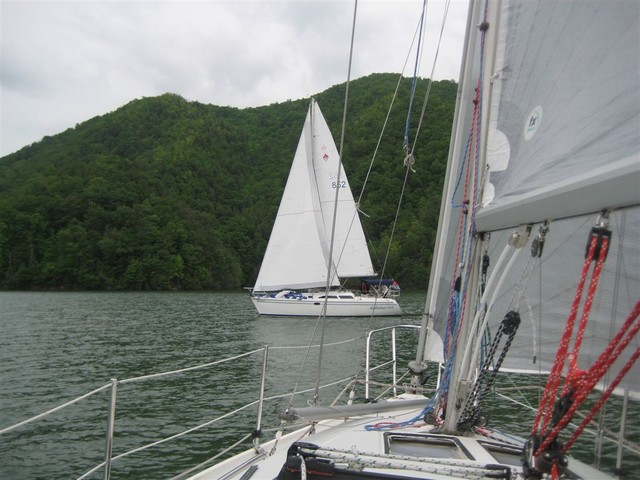 IMG 3129