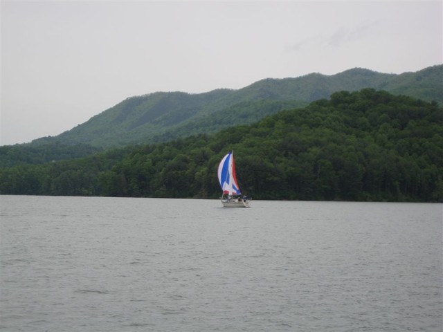 IMG 3132