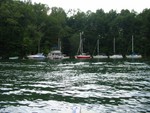 Buoy Lin at July 4th picnic, no valet parking (1984)..