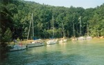 Buoy line at pig roast, at old pig roast site near ramp at dam..