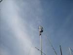 Highlight for Album: Russ Veldman mounting Tacktick wind instrumentation with help from some other sailors (Pics by M. Galloway)
