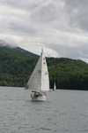 IMG 6841