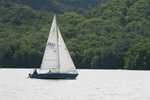 IMG 6847