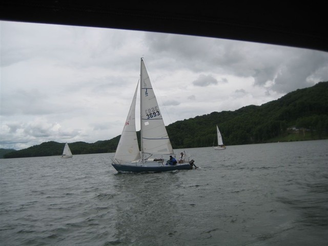 IMG 3137
