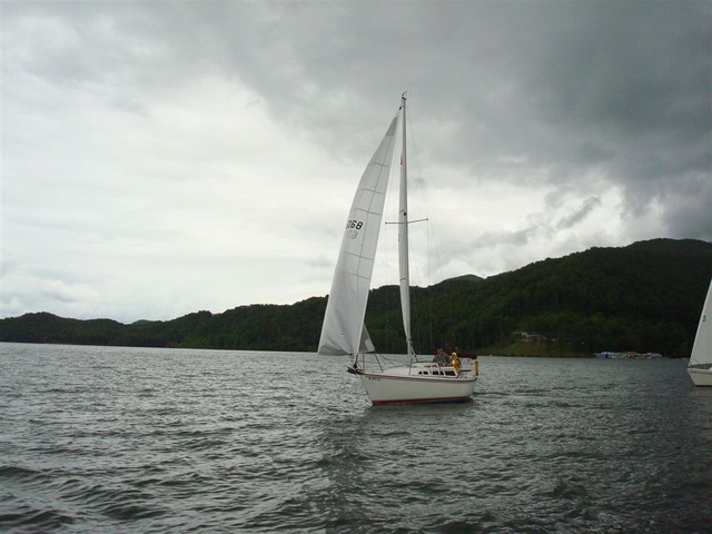 pictures from Cork