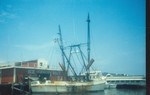 scan0002