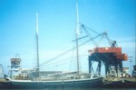 scan0006