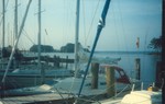 scan0036
